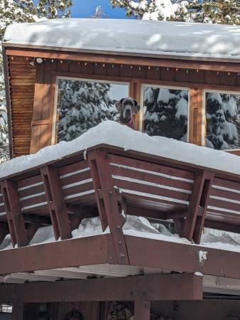 $5,800 / 2000ft2 - 3 Bedroom, 3 Bath 2000 Square Foot Unit Available Dec 1 (Alpine Meadows)