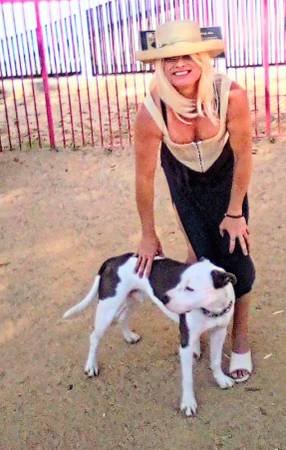 Spacious 3-Bedroom Apartment for Rent in Manhattan, $3,800/month, 1200 sqft, Pet-Friendly