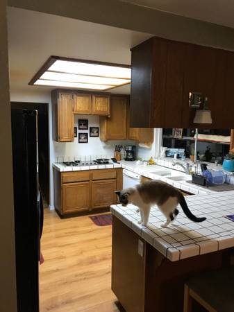 $1,000 / 4br - 110ft2 - Room For Rent (Santa Clarita)