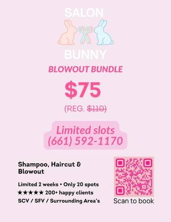 Mobile Blowout and Haircut - Smooth, Bouncy Styling (Santa Clarita)