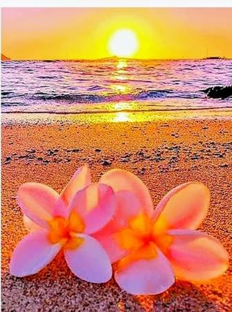 Licensed Esthetician with Massage Services (Sherman Oaks)