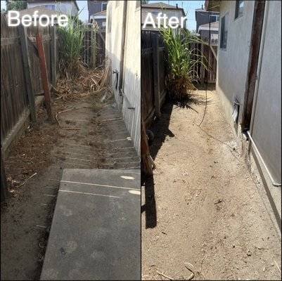 Certified Organic Vegetable Gardening Services in San Francisco