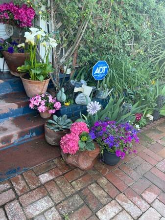 Toronto Professional Garden Design & Maintenance Services