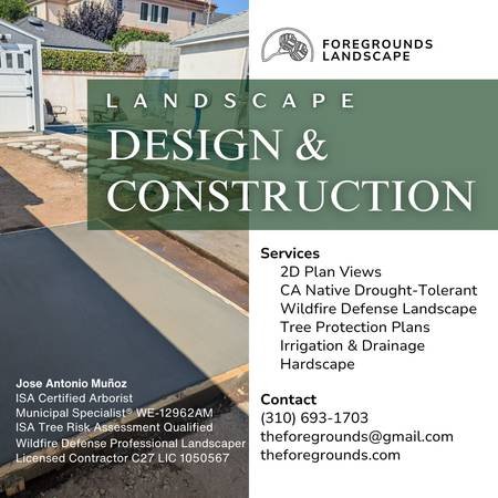 London-Based Professional Garden Design and Construction Services