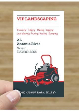 Toronto Certified Arborist Offering Tree Trimming & Removal Services