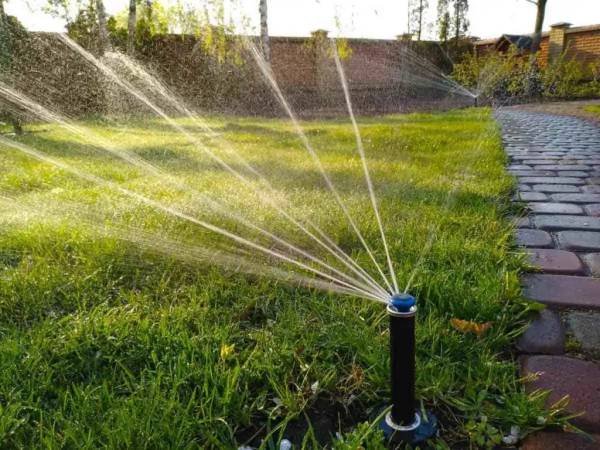 Professional Farm and Garden Services in New York, Licensed and Insured