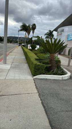 Certified Organic Farm & Garden Services in San Francisco