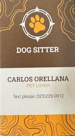 Pet Sitter (Hancock Park, LA)
