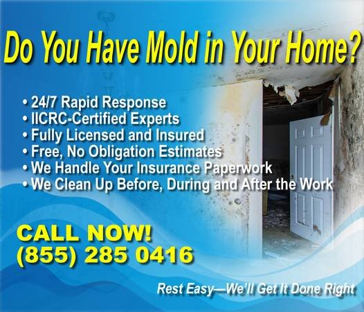 Water Damage? Flooded? Mold Removal? - 24/7 - Relief is Here (Call Now 855-285-0416 - Long Beach)