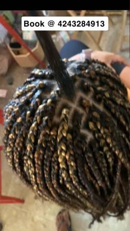 Same Day Braids and Retwist Services (Los Angeles)